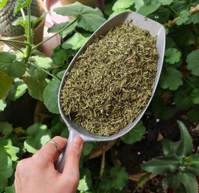 تصویر 1 از فروش آویشن کوهی + قیمت خرید به صرفه